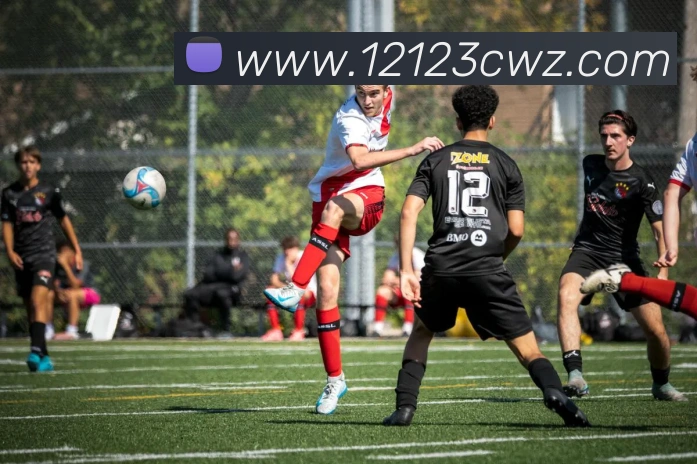 k1体育app官方APP 封面图